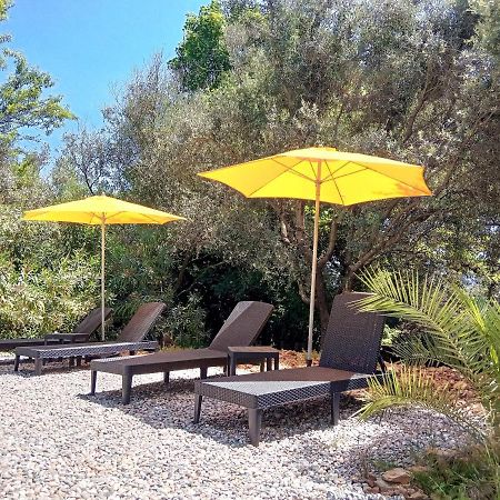 Chalet "Le Petit Olivier" Gites Appart 'Hotel L'Echappee Belle D'Aubenas Logement 2 Sur 3 エクステリア 写真