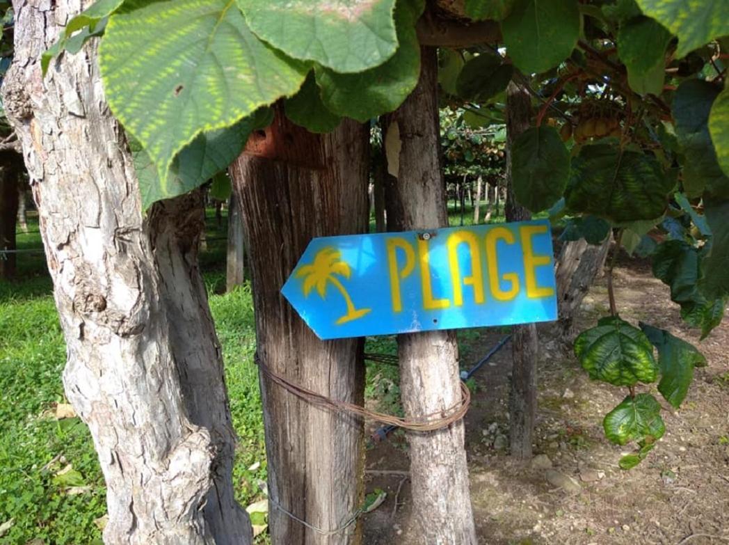 Chalet "Le Petit Olivier" Gites Appart 'Hotel L'Echappee Belle D'Aubenas Logement 2 Sur 3 エクステリア 写真